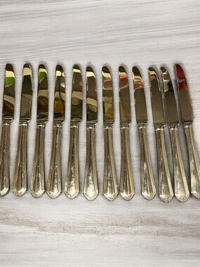 Lenox Silver tone Beaded-Edge Dinner Knives - Set of 12